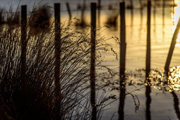 Camargue Light - image gratuit #456815